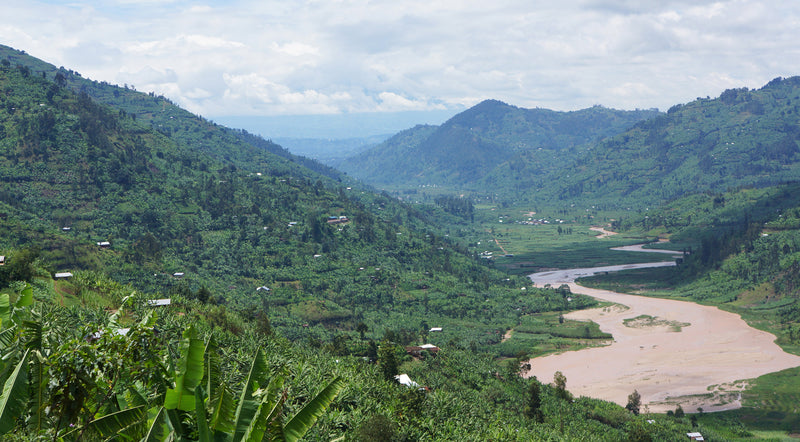 Remembering the 1994 Rwanda Genocide